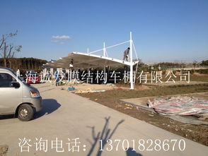 【攀枝花廠家直銷張拉膜結構汽車棚戶外景觀汽車遮陽雨棚定做】- 