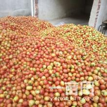 鄒春波的農產品批發/采購