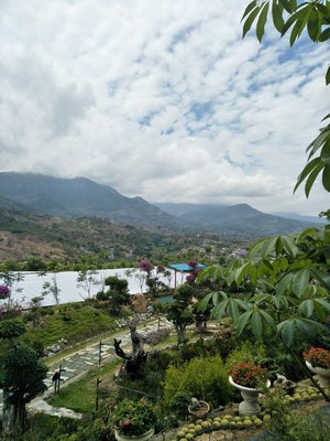 四川省攀枝花市仁和區(qū)216省道靠近金滿相樓