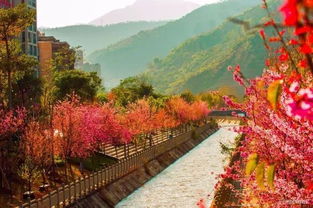 全國進(jìn)入棉褲時(shí)代 但在攀枝花居然還能穿 短 袖