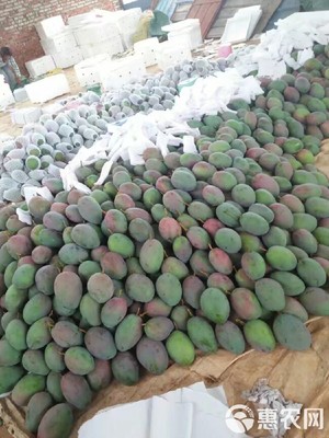 預售實惠 攀枝花凱特芒10斤裝僅35元，7月12日發貨